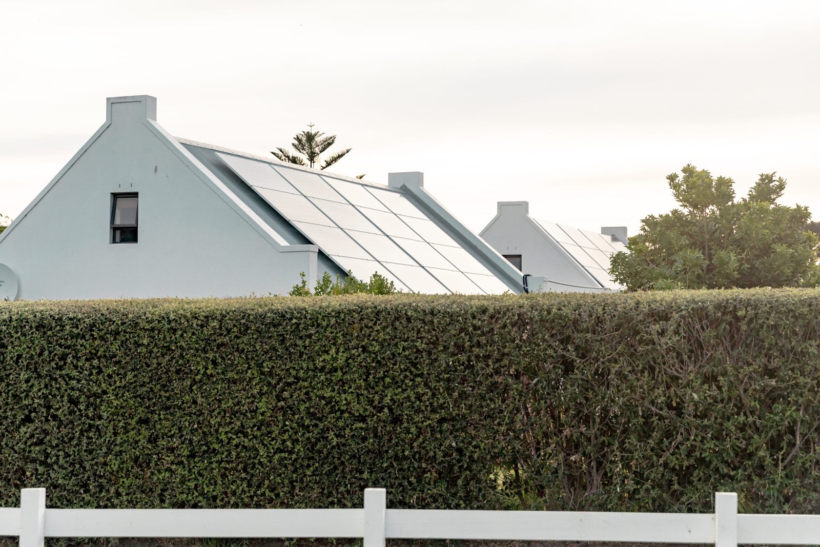 green-plants-fence-with-solar-panels.jpg
