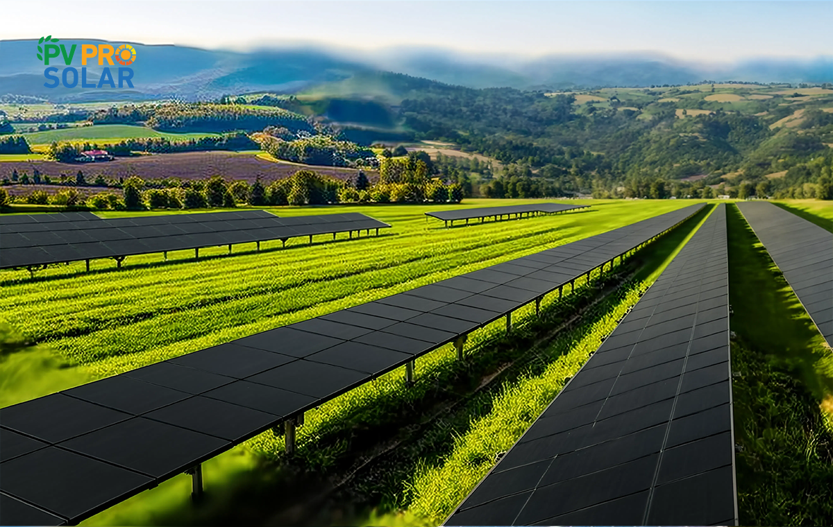 Umweltauswirkungen von Solaranlagen in Deutschland