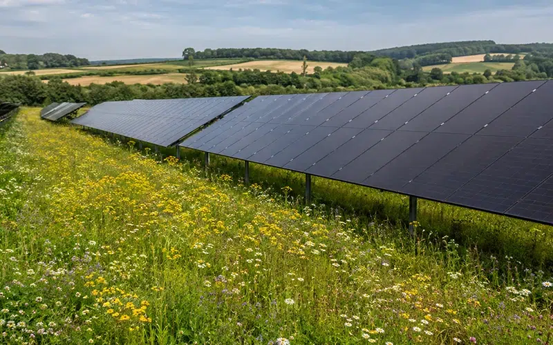 Umweltauswirkungen von Solaranlagen in Deutschland